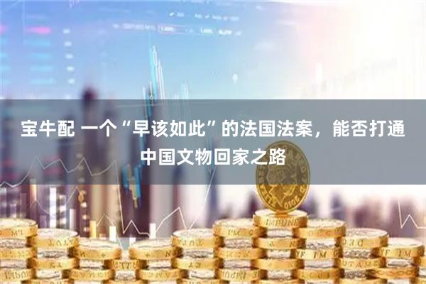 宝牛配 一个“早该如此”的法国法案，能否打通中国文物回家之路