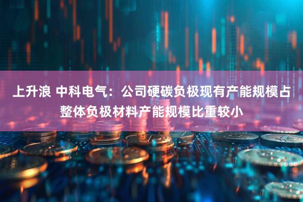 上升浪 中科电气：公司硬碳负极现有产能规模占整体负极材料产能规模比重较小