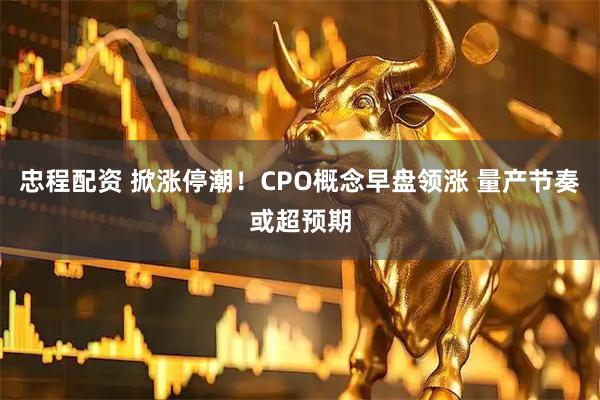 忠程配资 掀涨停潮！CPO概念早盘领涨 量产节奏或超预期